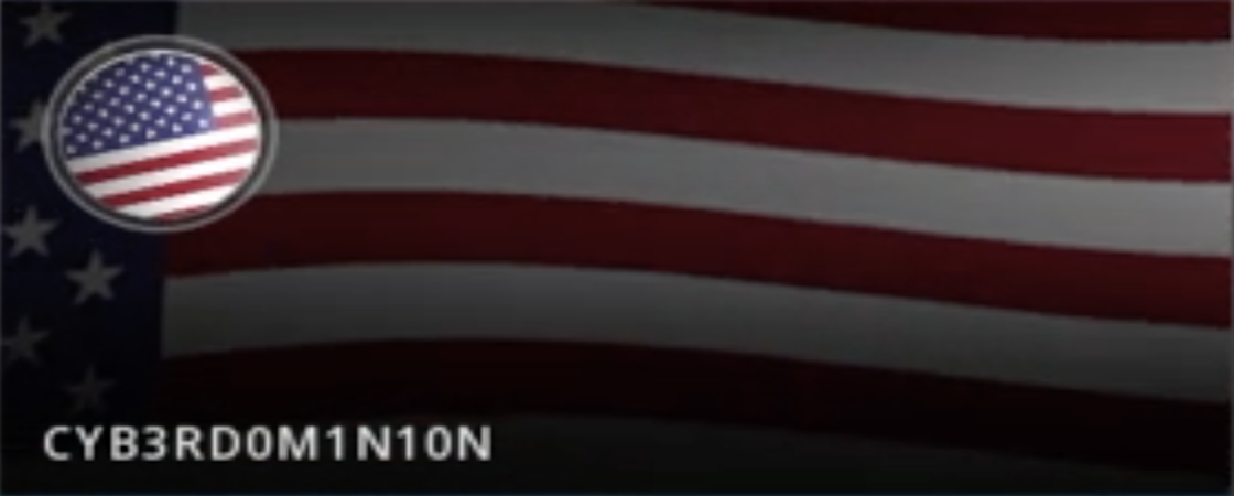 CYB3RD0M1N10N - *TEAM LEADER*